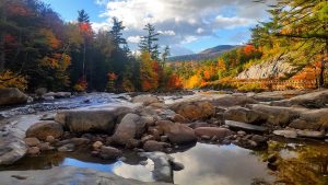 Maine Fall Foliage