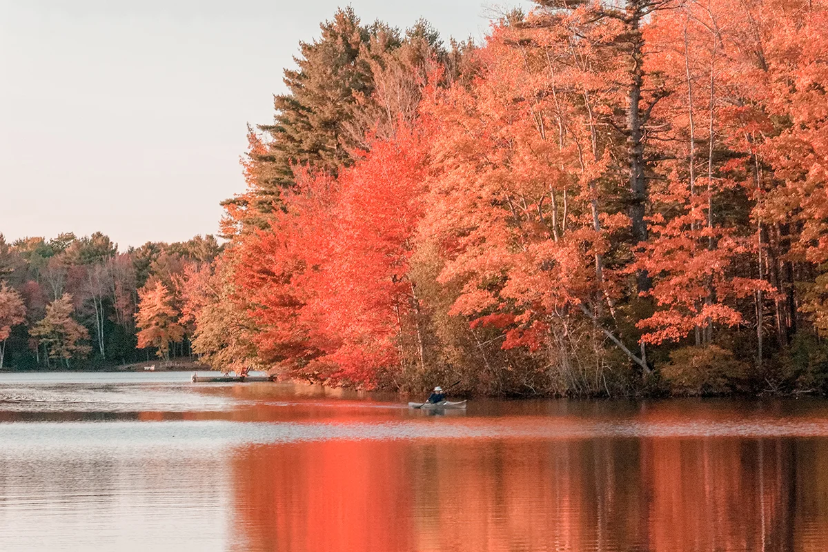 maine in Late September to Early October