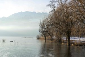 scenic-foggy-lake-with-bare-trees-scaled